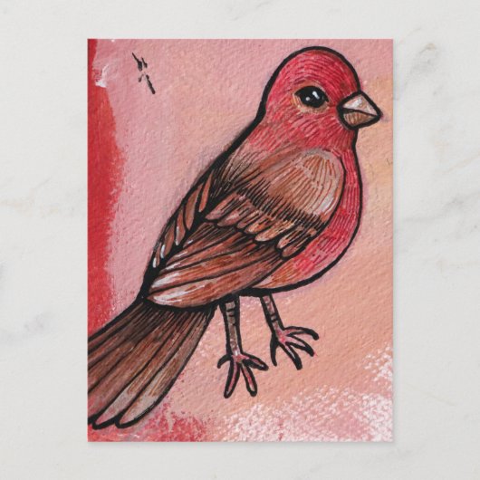 House Finch Postkarte (Vorderseite)