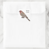 House Finch Quadratischer Aufkleber (Tasche)