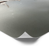 House Finish Bird Art Print Poster (Ecke)