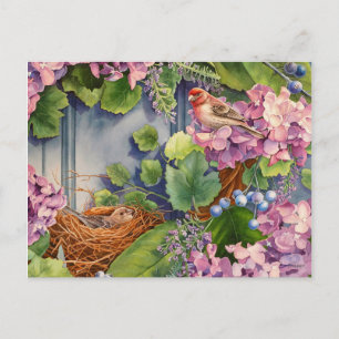 House Finish Paradies Nest Wreath Postkarte