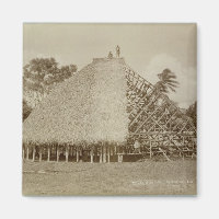 House Gebäude in Samoa, c.1875 (sepia Foto)