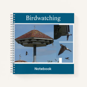 House Martins Collage Cust. Vogelbeobachtung Notizblock