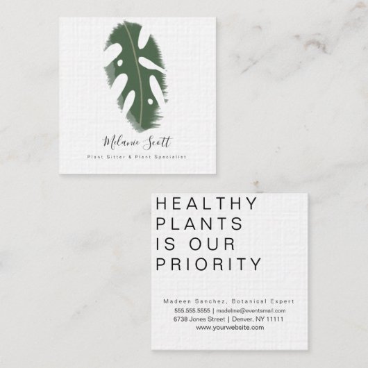 House Pflanze Botanical Monstera Spezialist Botani Quadratische Visitenkarte (Vorne/Hinten)