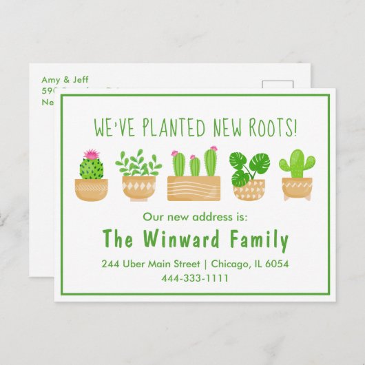 House Pflanze Cactus White New Zuhause Postcard Postkarte (Vorne/Hinten)
