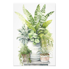 House Plants Fotodruck