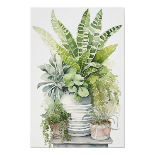 House Plants Poster (Vorderseite)