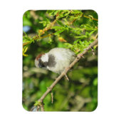 House Sparrow auf Lilac Bush Magnet (Vertikal)