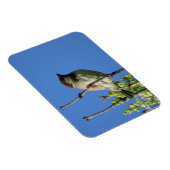 House Sparrow auf Lilacs Magnet (Rechte Seite)