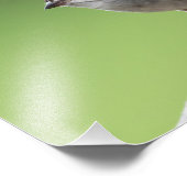 House Sparrow Fotodruck (Ecke)