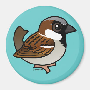 House Sparrow Magnet
