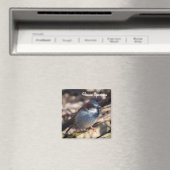 House Sparrow Magnet (In Situ (Geschirrspüler))