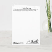 House Sparrow mit Bugs Dankeschön Karte (Rückseite)