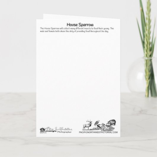 House Sparrow mit Bugs Dankeschön Karte (Rückseite)