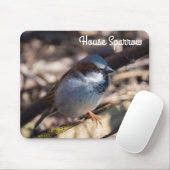 House Sparrow Mousepad (Mit Mouse)