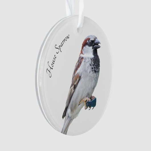 House Sparrow Ornament (Vorderseite)
