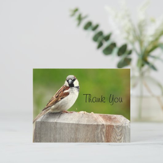 House Sparrow Postkarte (Stehend Vorderseite)