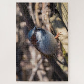 House Sparrow Puzzle (Vertikal)
