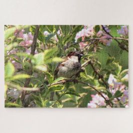 House Sparrow Puzzle