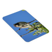 House Sparrow Spring Lilacs Magnet (Rechte Seite)