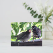 House Sparrow Vater Füttre Teaching Baby Postkarte (Stehend Vorderseite)