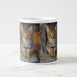 House Tiger Jumbo-Tasse