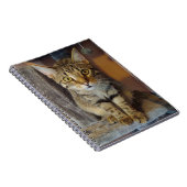 House Tiger Notizblock (Rechte Seite)