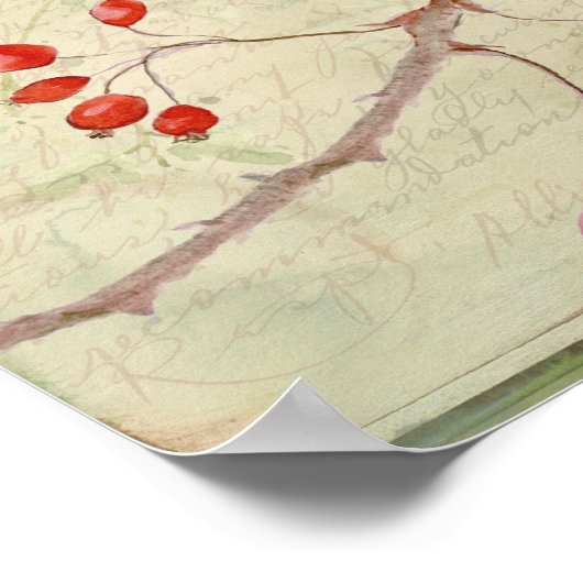 House Wren Collage Poster (Ecke)