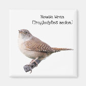 House Wren Magnet (Vorne)