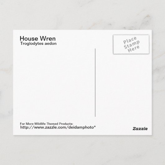 House Wren Postcard Postkarte (Rückseite)