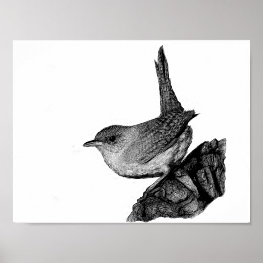 House Wren Poster (Vorne)