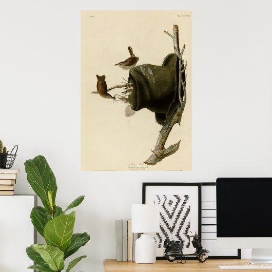 House Wren Poster (Heimbüro)