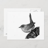 House Wren Postkarte (Vorne/Hinten)