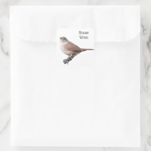 House Wren Quadratischer Aufkleber (Tasche)