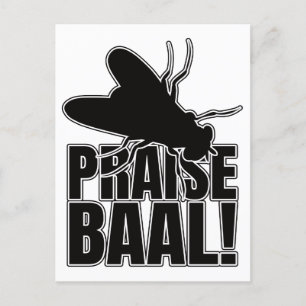 Housefly Baal Fly God - Entomology Geek Postkarte