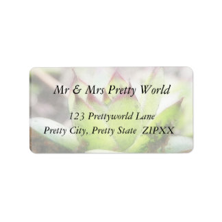 Houseleek - Sempervivum Adressaufkleber