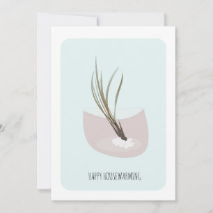 Housewärming AirPlant Neues Zuhause-Party