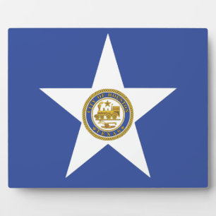 Houston City Flag Plaque Fotoplatte