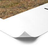 Houston Cow Parade Poster (Ecke)