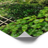 Houston Japanese Gardens - Poster (Ecke)