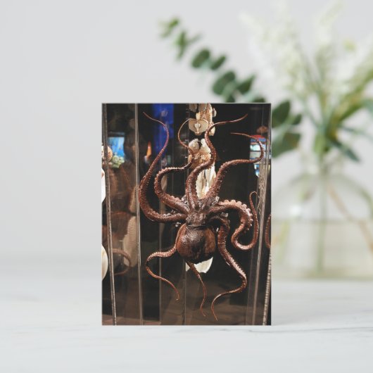 Houston Museum of Natural Science Postcard Postkarte (Stehend Vorderseite)