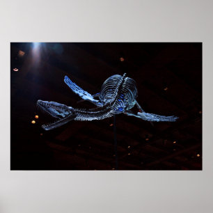 Houston Museum of Natural Science Poster