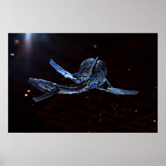Houston Museum of Natural Science Poster