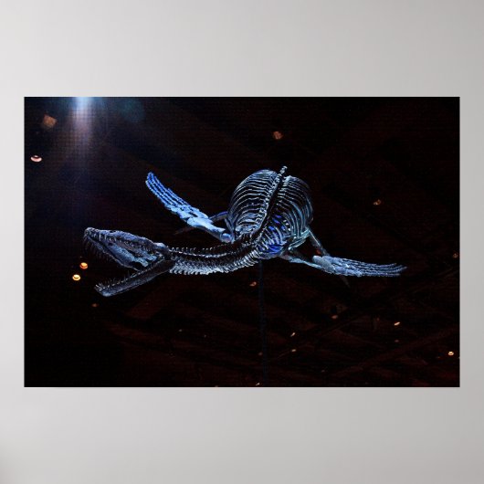 Houston Museum of Natural Science Poster (Vorne)