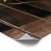 Houston Museum of Natural Science Poster (Ecke)