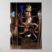 Houston Museum of Natural Science Poster (Vorne)