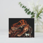 Houston Museum of Natural Science Postkarte (Stehend Vorderseite)