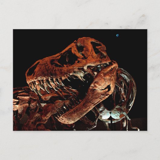 Houston Museum of Natural Science Postkarte (Vorderseite)