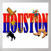 Houston Pics Poster (Vorne)