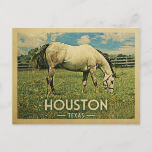 Houston Texas Horse Farm - Vintage Travel Postkarte