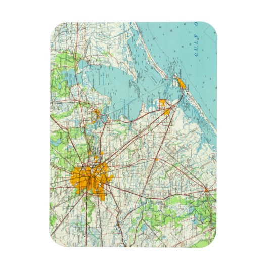 Houston Texas Postcard Magnet (Vertikal)